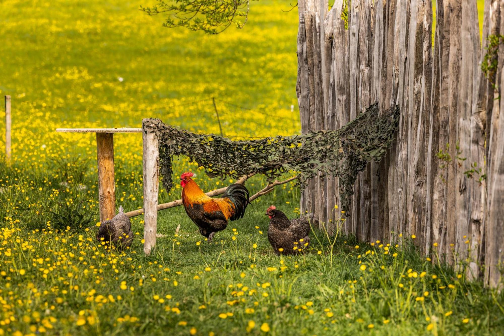 Ferienwohnungen Am Gablerhof Bad Reichenhall Eksteriør bilde