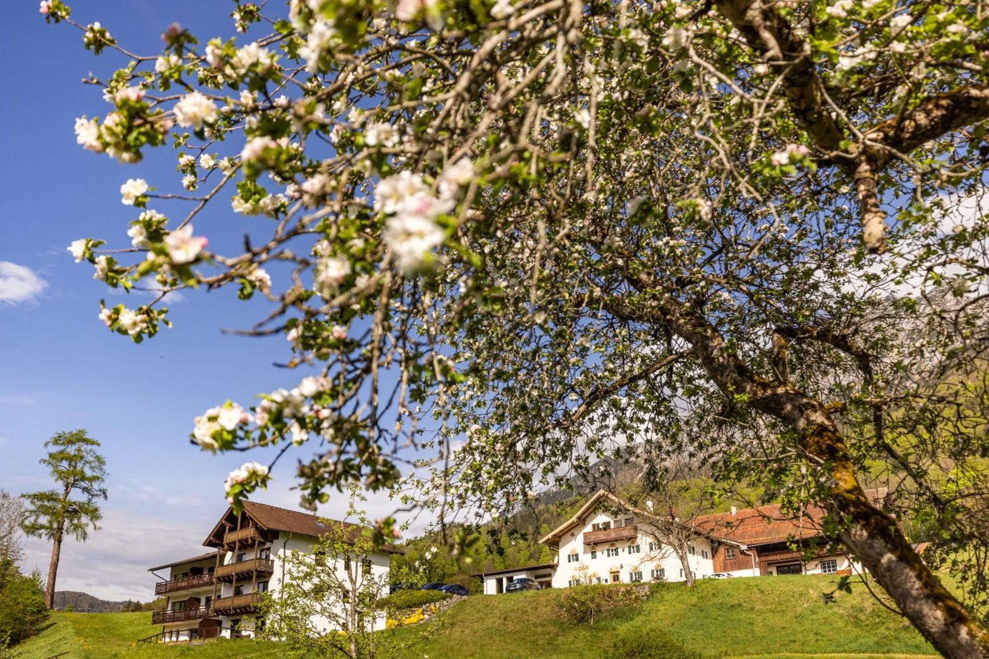 Ferienwohnungen Am Gablerhof Bad Reichenhall Eksteriør bilde